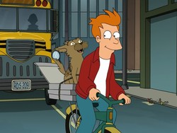 8 Reasons to Get on Your Bike Right Now